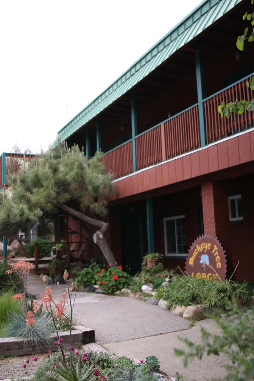 Buckeye Tree Lodge Три-Риверс Экстерьер фото